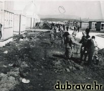 retkovec  aleja javora